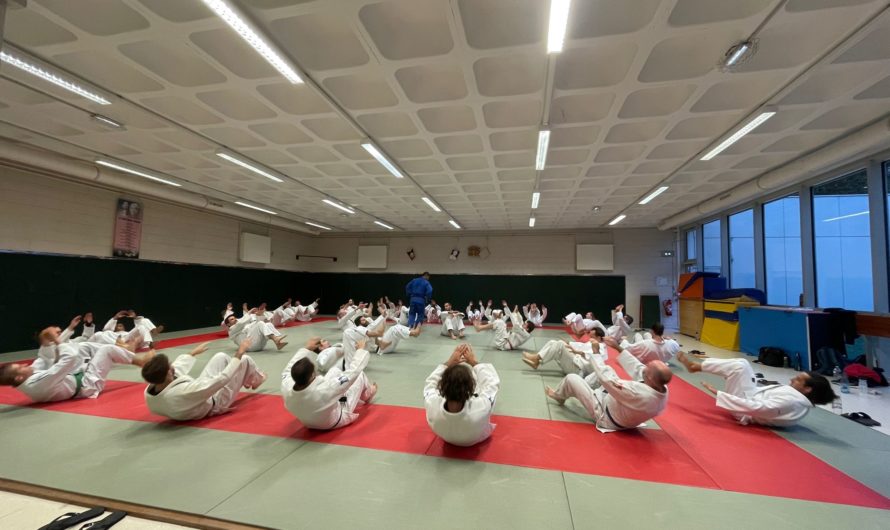 Reprise des cours de judo adulte : un démarrage en force !