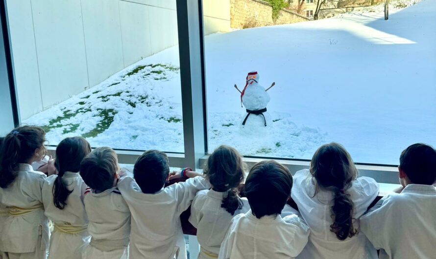 Un invité surprise devant les baies du dojo – 7 janvier 2026